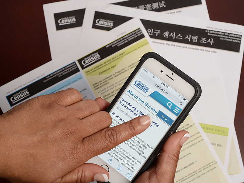 Census survey instruments developed and tested by RTI in Korean, Spanish, and Chinese.