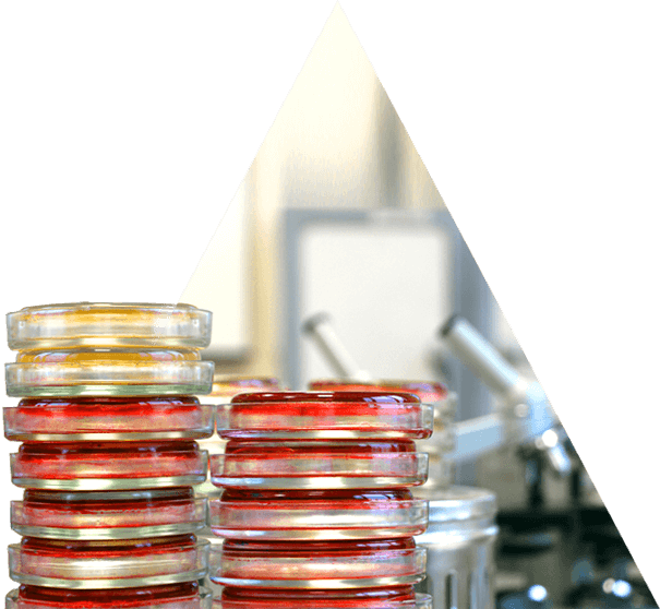 Stacks of petri dishes in a laboratory filled with a red substance.